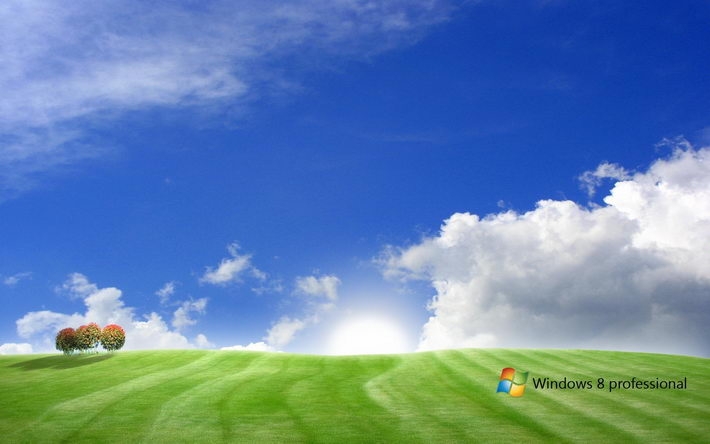 系统Windows 8电脑桌面壁纸