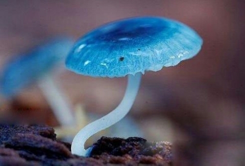 每天不一样的心情会有不同的色彩