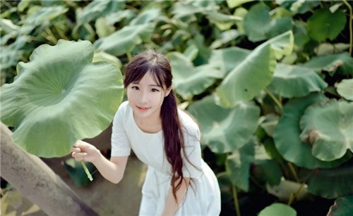 相应莲花别样红 小清新女生图片