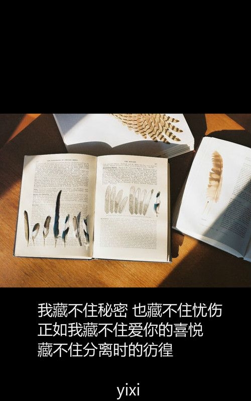 看不见对面的海怎么懂你的情深。