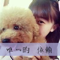 带字情侣头像：唯一的依赖