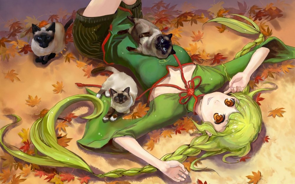 喜欢小猫咪的可爱女孩动漫壁纸