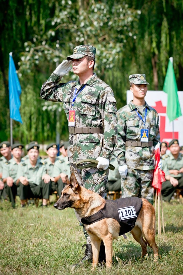 《神犬奇兵》高清手机壁纸