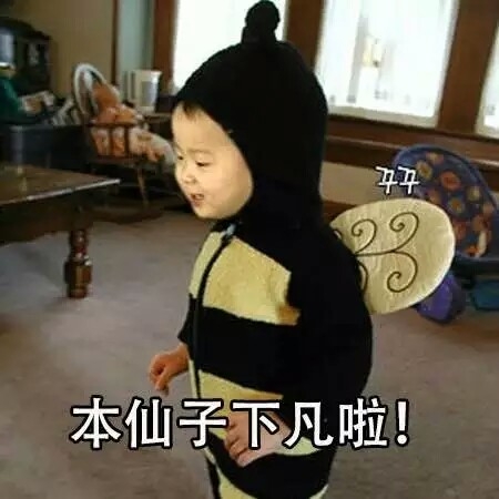 我有风里雨里的暴脾气 可我最疼的还是你