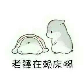 哄对象，撩妹撩汉表情包  喜欢抱走