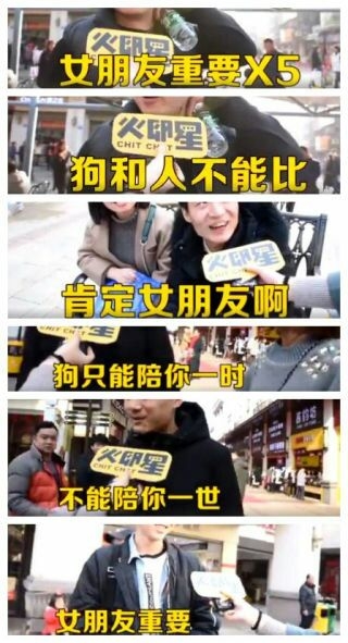 十年的狗和一年的男朋友 谁更重要?