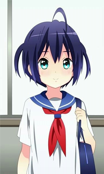 何必来了就走