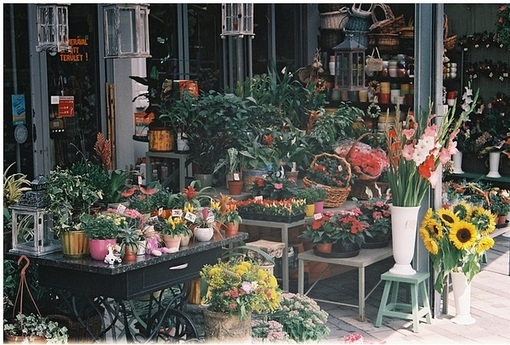 五颜六色的鲜花是花店幸福温暖的定义
