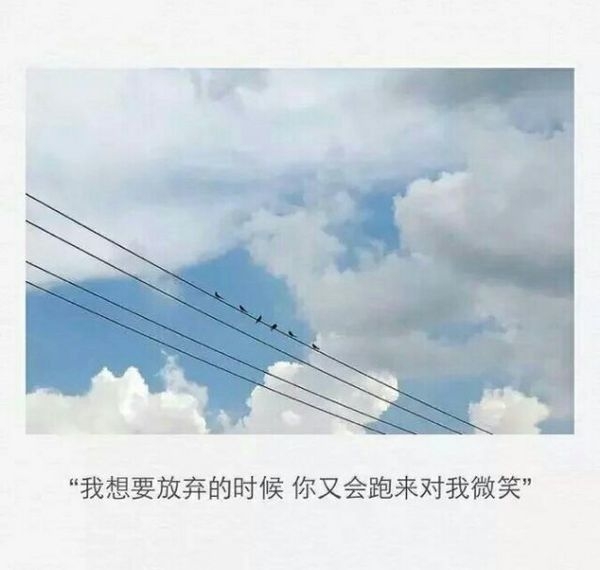 没那么多为什么，只是因为喜欢，所以情愿