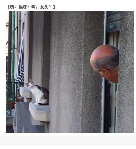 搞笑图片 真人一家