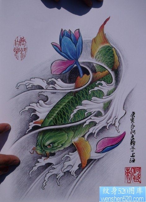 中华锦鲤纹身手稿