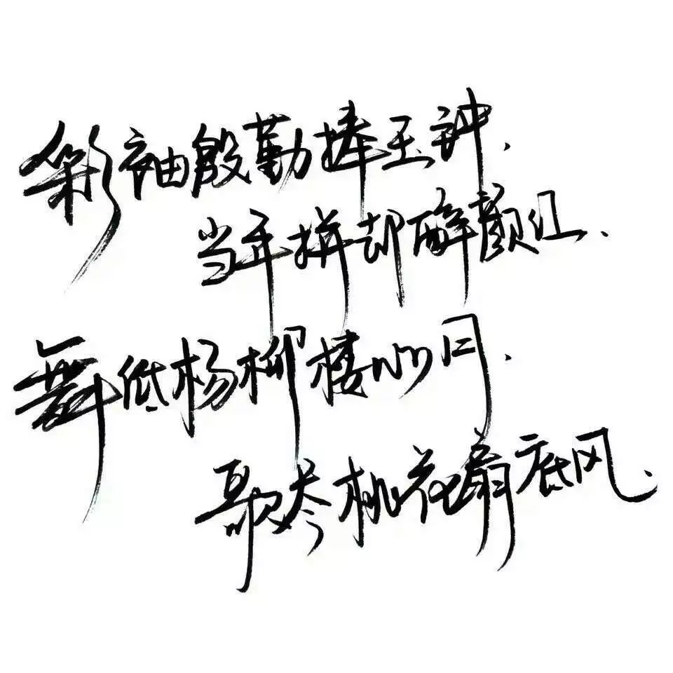 喜欢这种东西阿 文字