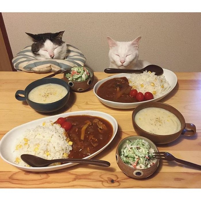 食物也要高颜值