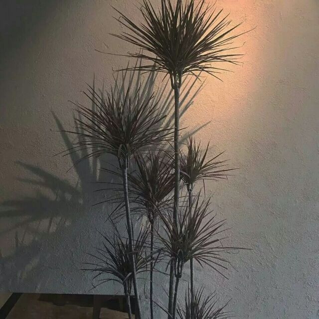 幼稚月:你今天好吗 被人左右情绪了吗.