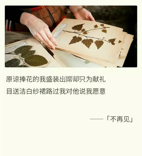 再回到你身边，为你撑伞