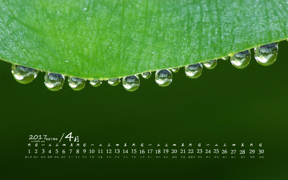 2017年4月绿色植物护眼桌面日历壁纸