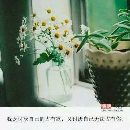 “我也怕我的不主动，让你被别人