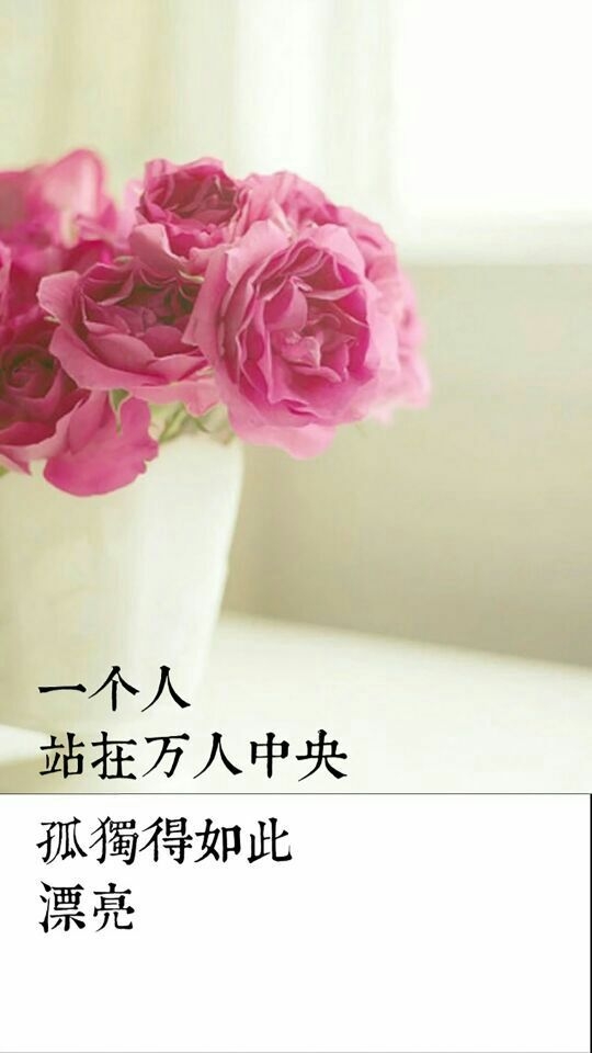 愿你所有的不快乐都会消散 阳光依然美好