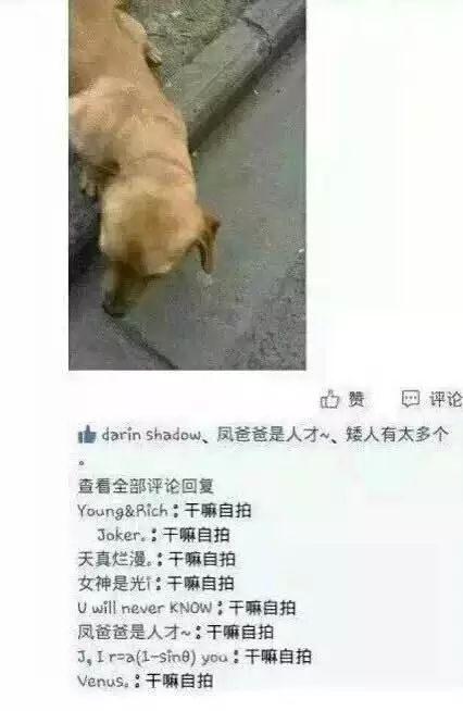 毁掉你一条高冷的说说只需一群损友 一点不差