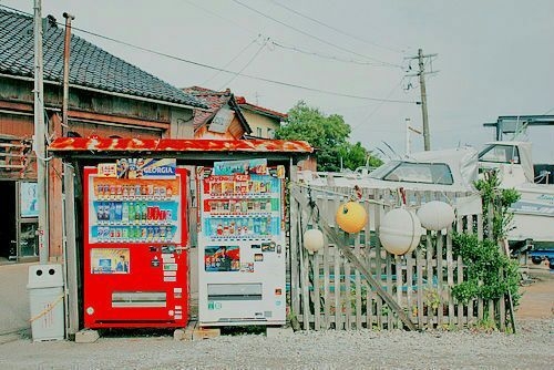 想把整个夏天的阳光在冬天时寄给你   清新唯美图片