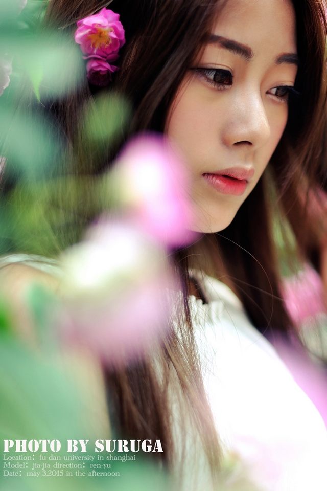 精选蔷薇花开清纯少女唯美手机壁纸下载