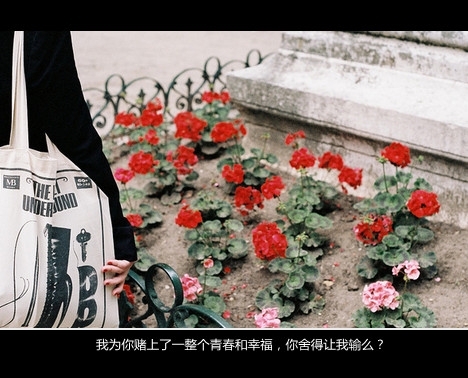杂图。。。。。