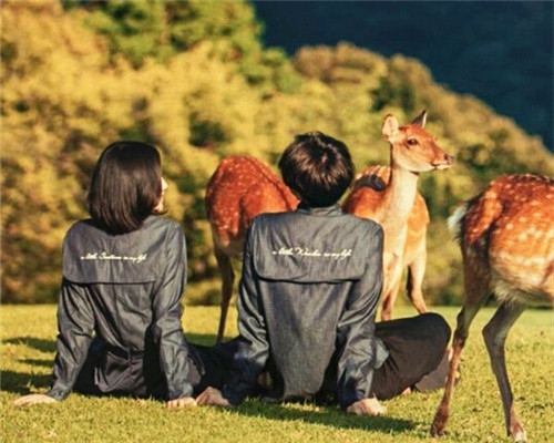 毕竟是我爱的人 我能够怪你什么