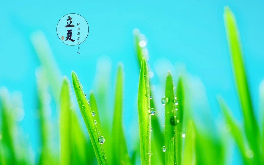 立夏二十四节气之清新主题壁纸