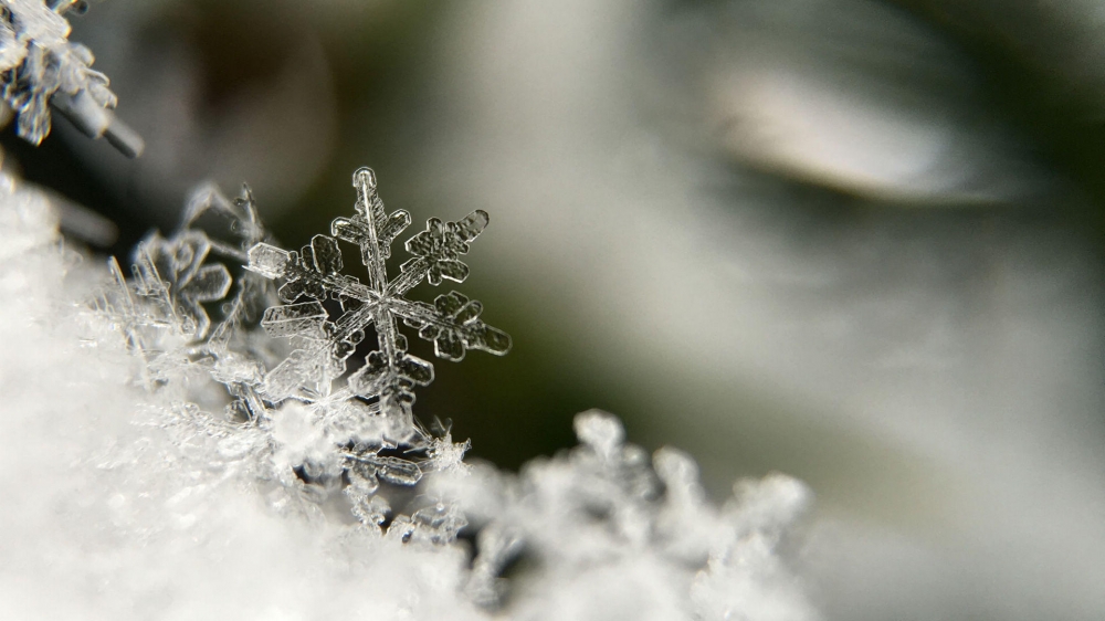 冬季雪花唯美近景摄影电脑桌面壁纸