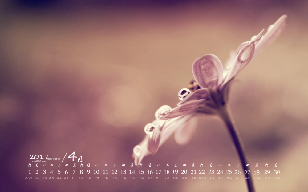 2017年4月绿色植物护眼桌面日历壁纸