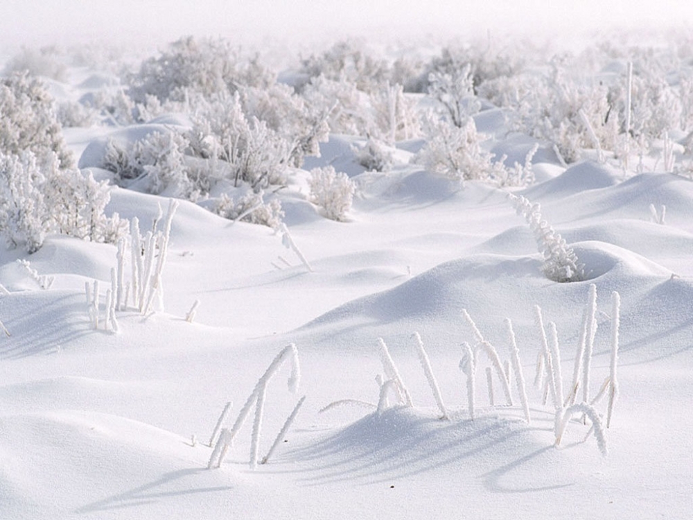 雪中写真 第二辑