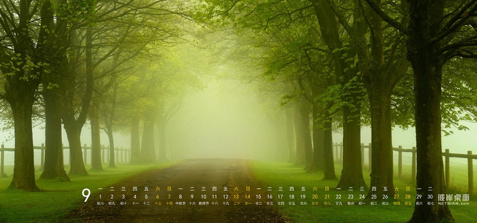 彼岸桌面2014年9月日历壁纸 绿色风景,自然,森林,树木,树叶,公路,道路,美景