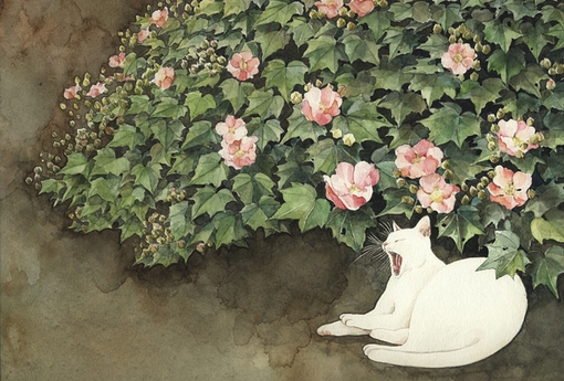 夏天的失心人与猫咪