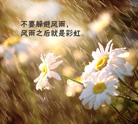 励志的唯美图文签名图片