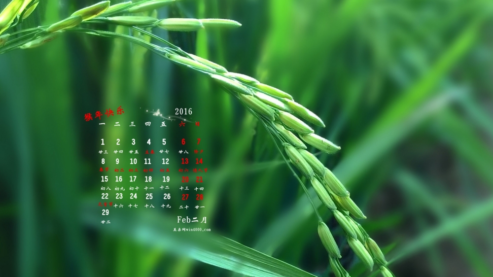 2016年2月日历壁纸高清绿色风景图片2
