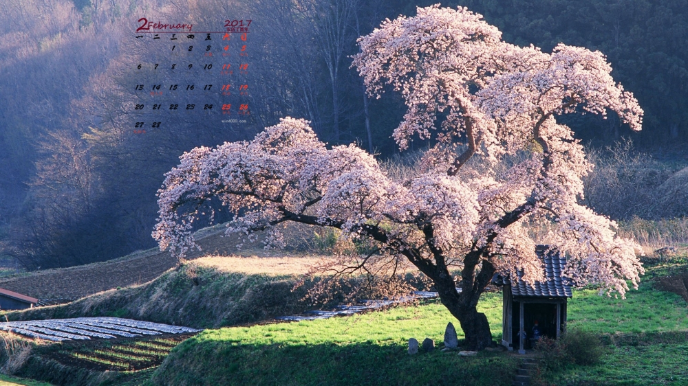 2017年2月唯美高清自然风景日历壁纸  第五辑