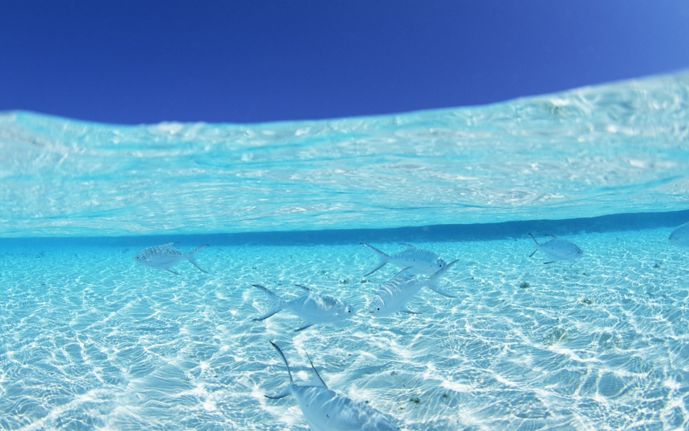 夏日海滩风景高清壁纸