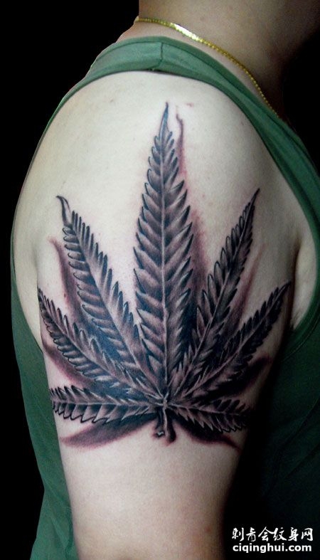 大臂大麻树叶纹身图案