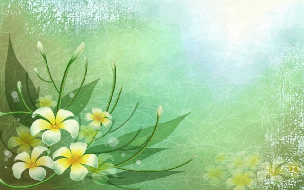 高清晰炫彩花卉风格壁纸电脑桌面壁纸下载 第一辑