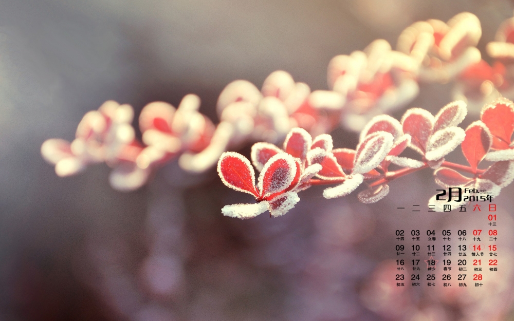 2015年2月日历壁纸好看的冬季冰霜下红色树叶美丽风景高清图片下载