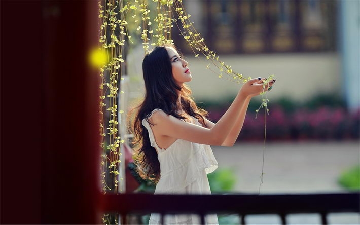 纯情性感美女电脑壁纸