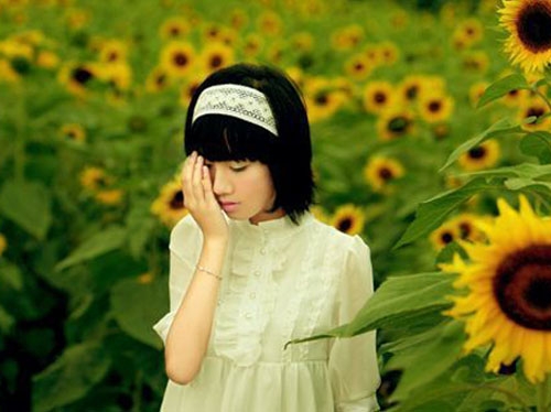 在向日葵花中拍摄写真的女生照