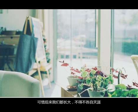 人生都太短暂，别想，别怕