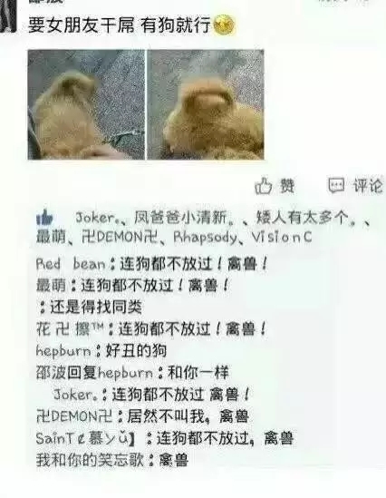 毁掉你一条高冷的说说只需一群损友 一点不差