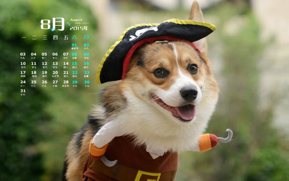 2015年8月日历精选可爱小狗高清桌面壁纸下载