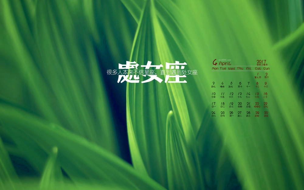 2017年4月阳光下的向日葵风景桌面日历壁纸