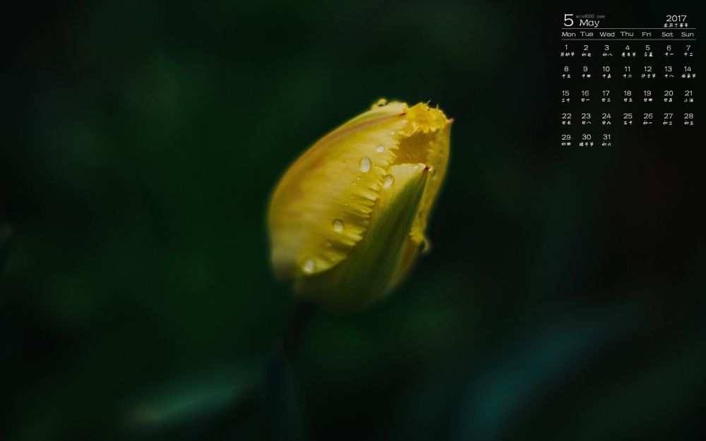 2017年5月娇嫩花朵日历壁纸