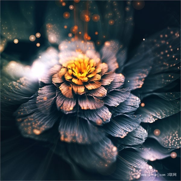 美丽神秘花儿意境