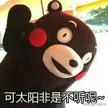 这是几张有声音的图片~