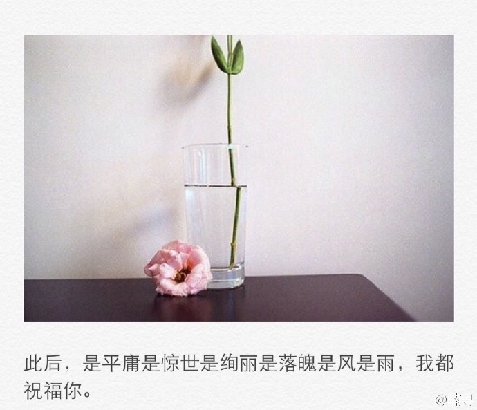 ：享受忙碌 适应孤独